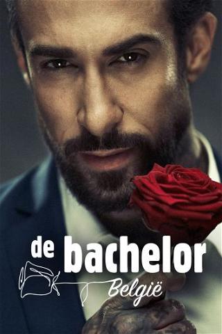 De Bachelor België poster