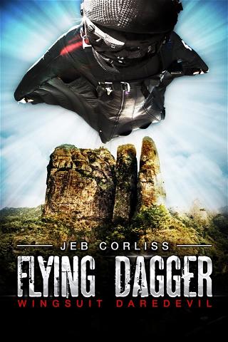 Flying Dagger poster