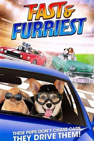 Fast and Furriest poster