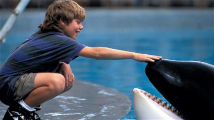 Free Willy - Pelastakaa Willy poster