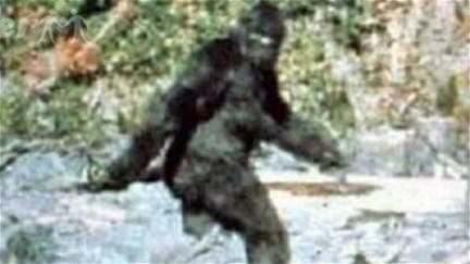 Bigfoot: Man or Beast? poster