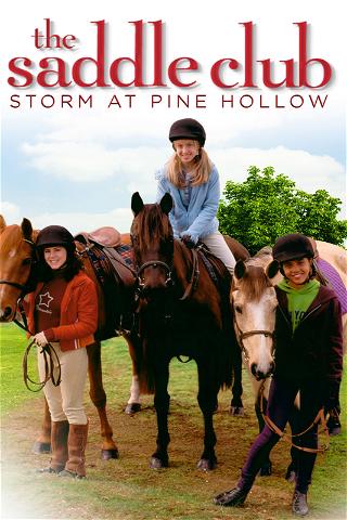 Saddle Club: Storm At Pine Hollow poster