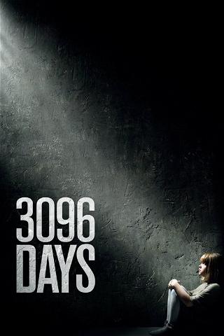 3096 päivää poster