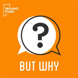 But Why: A Podcast for Curious Kids poster