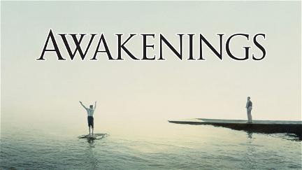 Despertares (Awakenings) poster