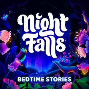Night Falls - Bedtime Stories For Sleep poster