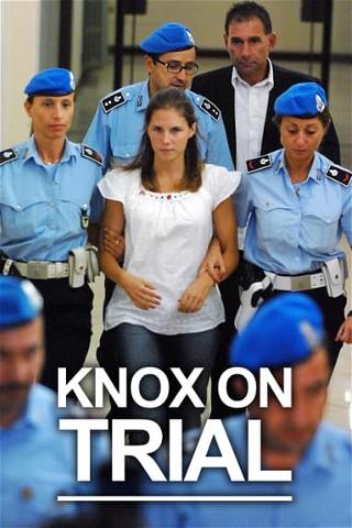 Knox on Trial: The Key Questions poster