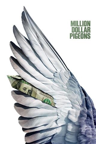 Million Dollar Pigeons poster