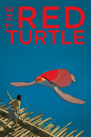 Czerwony żółw poster