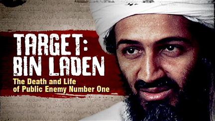 Targeting Bin Laden poster