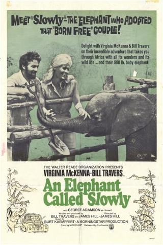 An Elephant Called Slowly poster