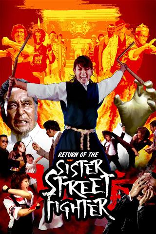 The Return of Sister Street Fighter poster