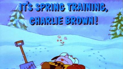 It's Spring Training, Charlie Brown poster