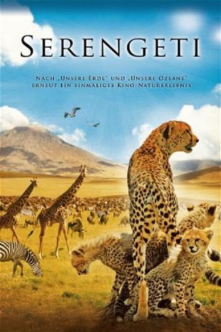 Serengeti 3D poster