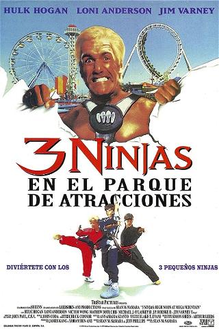 3 Ninjas en el Parque de Atracciones poster