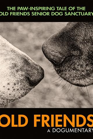 Old Friends: A Dogumentary poster
