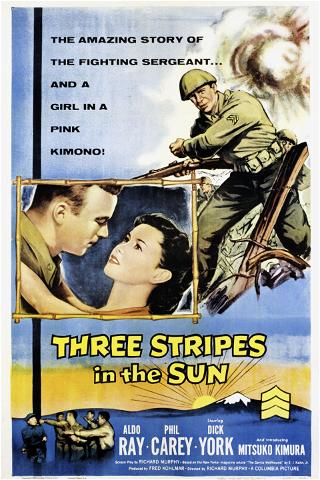 Three Stripes in the Sun poster