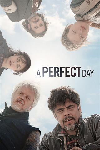 A Perfect Day poster