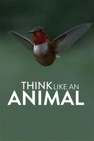 The Nature of Things: Think Like an Animal poster