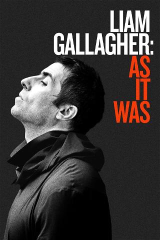 Liam Gallagher : As It Was poster