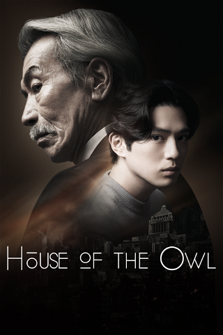 House of the Owl poster