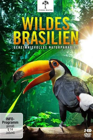Brasiliens Fantastiske Dyr poster
