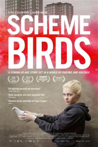 Scheme Birds poster
