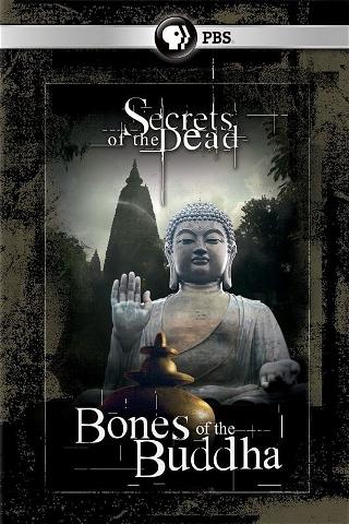 Bones of the Buddha poster