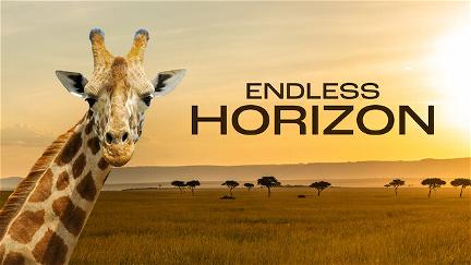 Endless Horizon poster