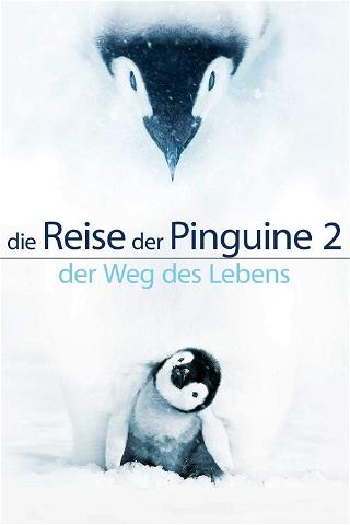 Die Reise der Pinguine 2: Der Weg des Lebens poster