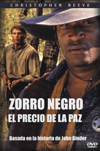 Zorro Negro II poster