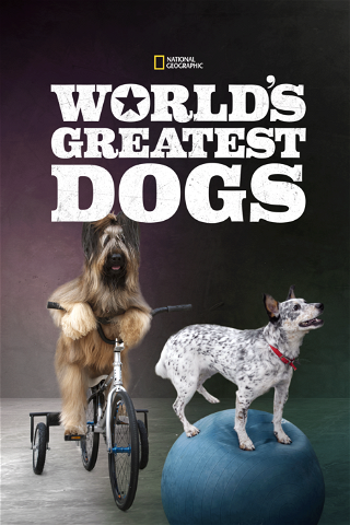 World’s Greatest Dogs poster