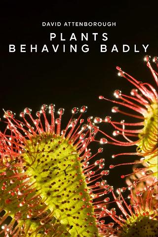 Plants Behaving Badly poster