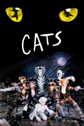Cats de musical poster