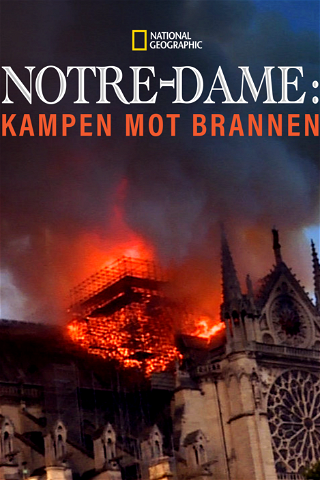 Notre-Dame: Kampen mot brannen poster