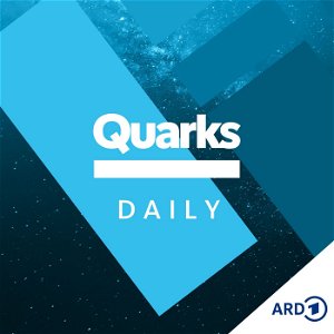 Quarks Daily poster