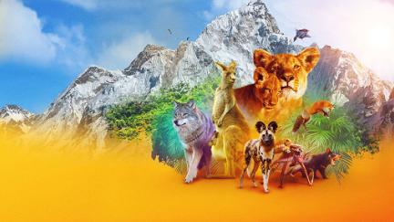 Animal: il meraviglioso regno animale poster