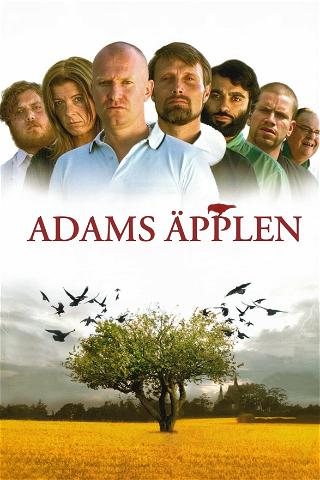 Adams äpplen poster