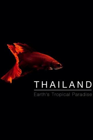 Thaïlande, la beauté sauvage poster