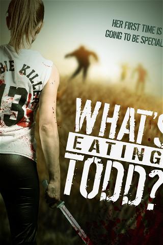 What's Eating Todd? poster