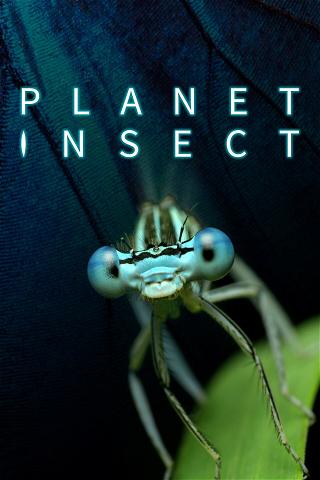 Planet Insect poster