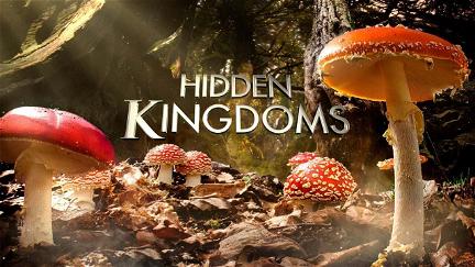 Hidden Kingdoms - Im Königreich der kleinen Tiere poster