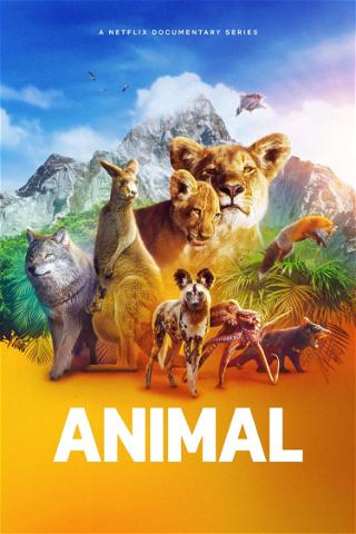 Eläimet poster