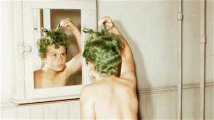 Le Garçon aux cheveux verts poster