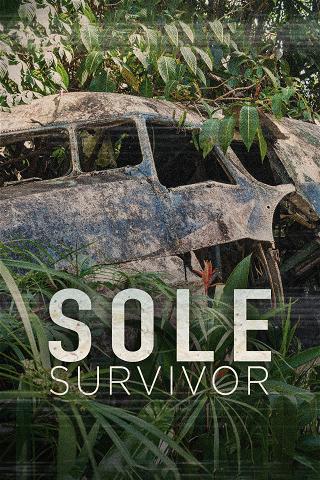 Sole Survivor poster