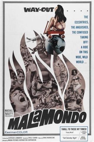 Malamondo poster