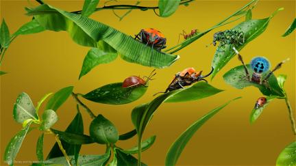 A Real Bug's Life - Megaminimondo poster