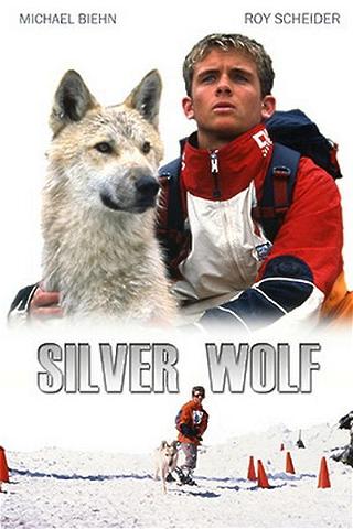 Silver Wolf - Eisige Jagd poster