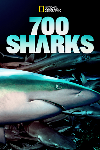 700 Sharks poster