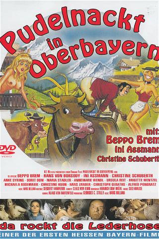Bare Naked in Upper Bavaria poster